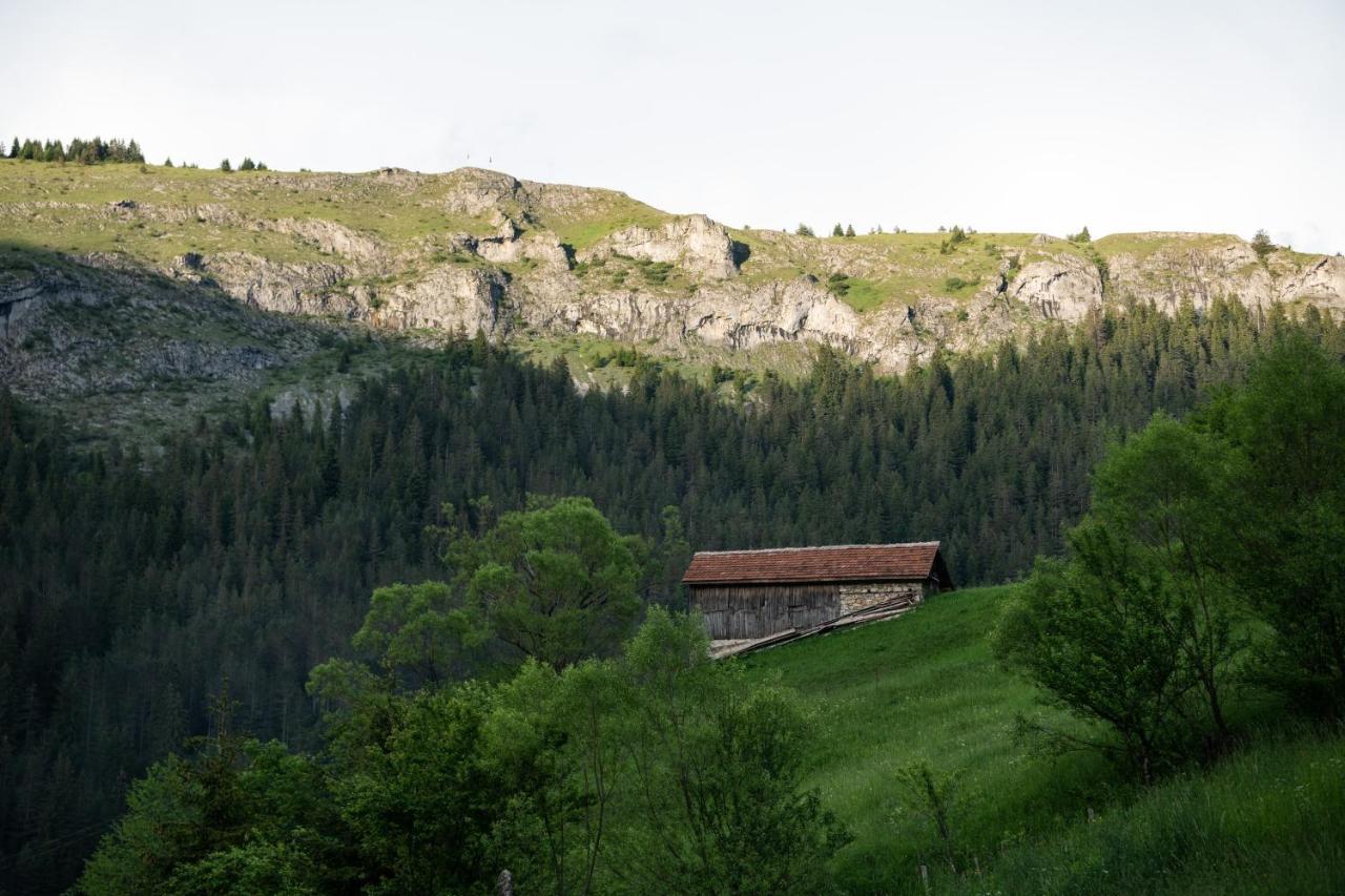 Къща До Гората Триград Villa Екстериор снимка